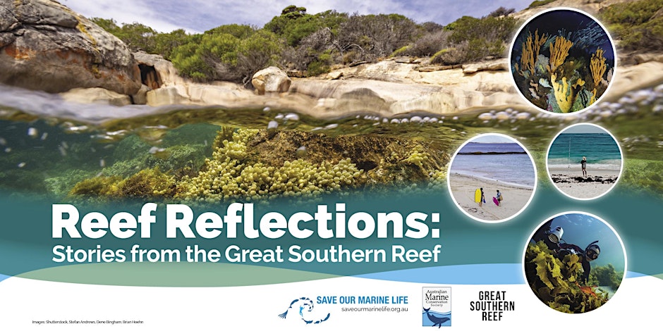 Reef Reflections: Stories from the Great Southern Reef