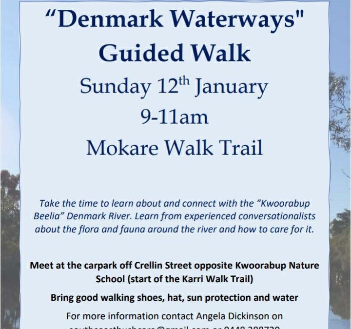Guided Walk on the Denmark River